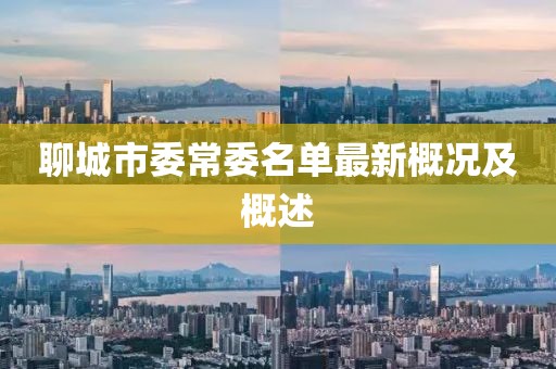 聊城市委常委名單最新概況及概述