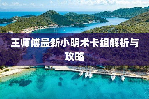 王師傅最新小明術(shù)卡組解析與攻略