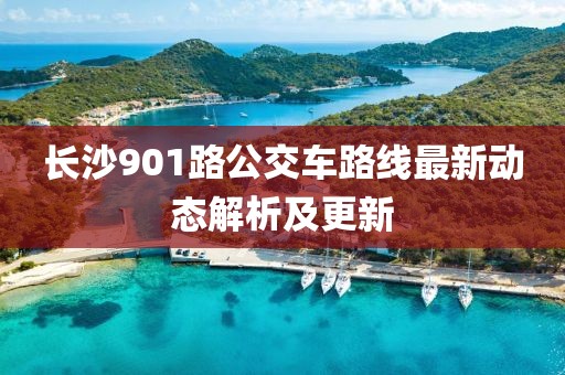 長(zhǎng)沙901路公交車(chē)路線最新動(dòng)態(tài)解析及更新