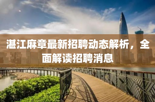 湛江麻章最新招聘動態(tài)解析，全面解讀招聘消息