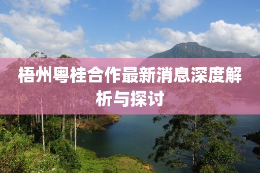 梧州粵桂合作最新消息深度解析與探討