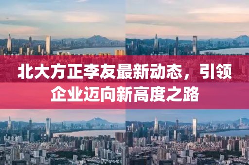 北大方正李友最新動(dòng)態(tài)，引領(lǐng)企業(yè)邁向新高度之路