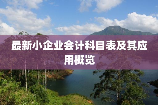 最新小企業(yè)會計科目表及其應(yīng)用概覽