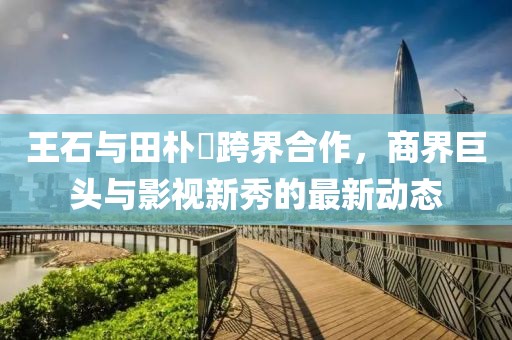 王石與田樸琤跨界合作，商界巨頭與影視新秀的最新動(dòng)態(tài)
