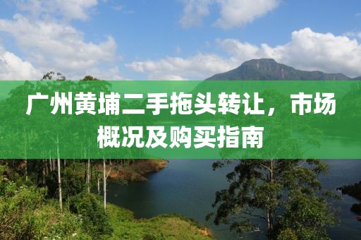 廣州黃埔二手拖頭轉(zhuǎn)讓?zhuān)袌?chǎng)概況及購(gòu)買(mǎi)指南