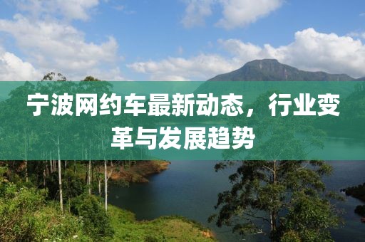 寧波網(wǎng)約車最新動態(tài)，行業(yè)變革與發(fā)展趨勢