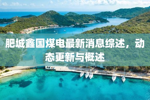 肥城鑫國(guó)煤電最新消息綜述，動(dòng)態(tài)更新與概述