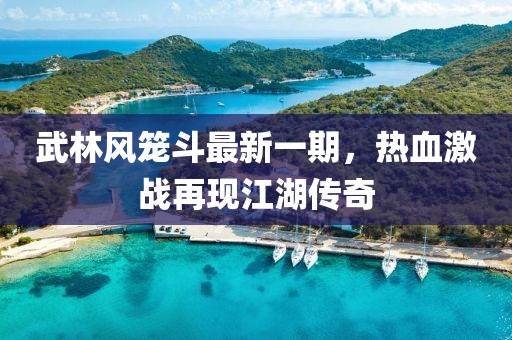 武林風(fēng)籠斗最新一期，熱血激戰(zhàn)再現(xiàn)江湖傳奇