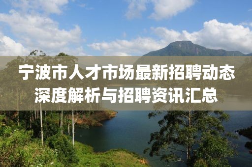 寧波市人才市場最新招聘動態(tài)深度解析與招聘資訊匯總