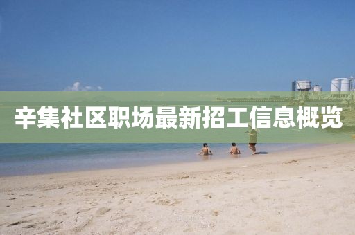 辛集社區(qū)職場(chǎng)最新招工信息概覽