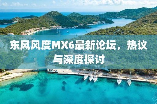 東風(fēng)風(fēng)度MX6最新論壇，熱議與深度探討