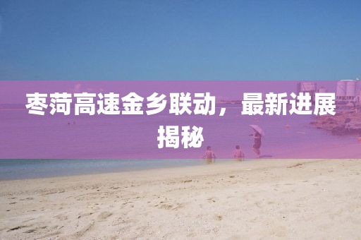 棗菏高速金鄉(xiāng)聯(lián)動，最新進展揭秘