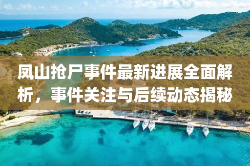 鳳山搶尸事件最新進展全面解析，事件關(guān)注與后續(xù)動態(tài)揭秘
