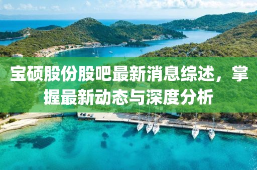 寶碩股份股吧最新消息綜述，掌握最新動態(tài)與深度分析