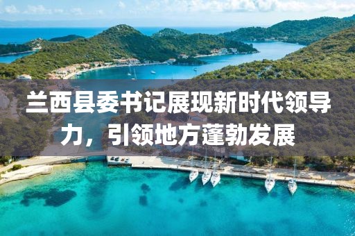 蘭西縣委書記展現(xiàn)新時(shí)代領(lǐng)導(dǎo)力，引領(lǐng)地方蓬勃發(fā)展