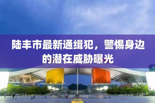 陸豐市最新通緝犯，警惕身邊的潛在威脅曝光