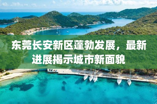 東莞長安新區(qū)蓬勃發(fā)展，最新進(jìn)展揭示城市新面貌