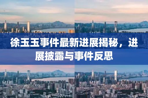 徐玉玉事件最新進展揭秘，進展披露與事件反思