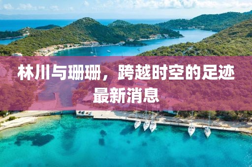 林川與珊珊，跨越時(shí)空的足跡最新消息
