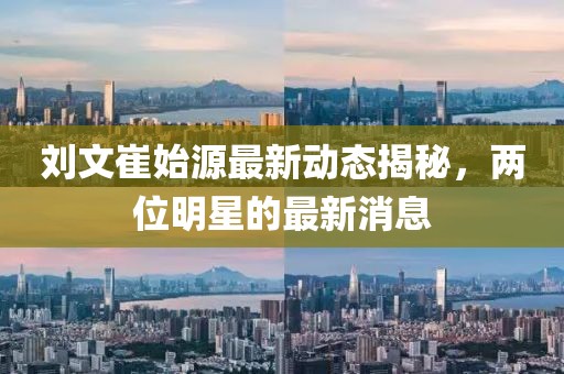 劉文崔始源最新動態(tài)揭秘，兩位明星的最新消息