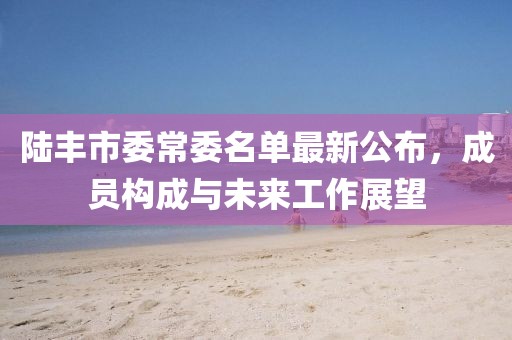 陸豐市委常委名單最新公布，成員構(gòu)成與未來工作展望