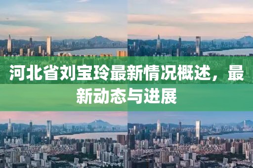 河北省劉寶玲最新情況概述，最新動態(tài)與進展