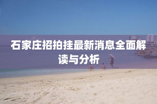 石家莊招拍掛最新消息全面解讀與分析