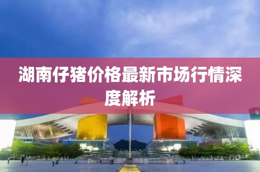 湖南仔豬價格最新市場行情深度解析