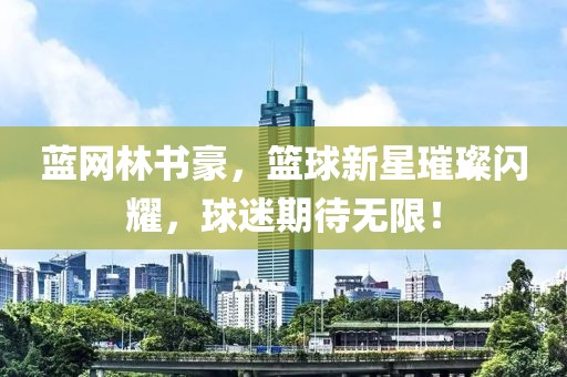 藍網(wǎng)林書豪，籃球新星璀璨閃耀，球迷期待無限！