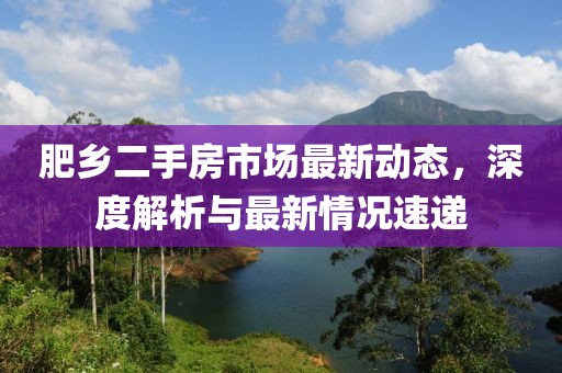 肥鄉(xiāng)二手房市場最新動態(tài)，深度解析與最新情況速遞
