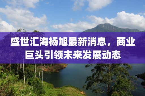 盛世匯海楊旭最新消息，商業(yè)巨頭引領(lǐng)未來(lái)發(fā)展動(dòng)態(tài)