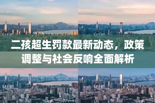 二孩超生罰款最新動(dòng)態(tài)，政策調(diào)整與社會(huì)反響全面解析