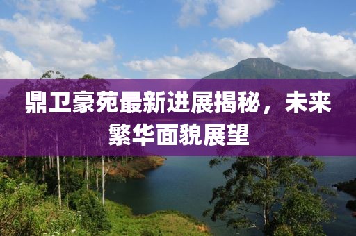 鼎衛(wèi)豪苑最新進展揭秘，未來繁華面貌展望