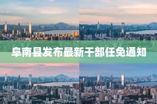 阜南縣發(fā)布最新干部任免通知