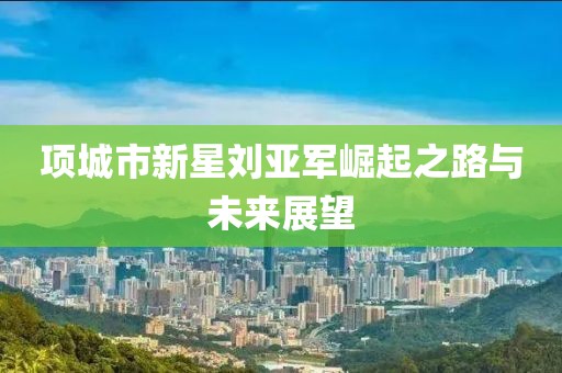 項(xiàng)城市新星劉亞軍崛起之路與未來(lái)展望