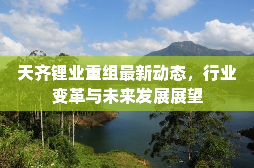天齊鋰業(yè)重組最新動態(tài)，行業(yè)變革與未來發(fā)展展望