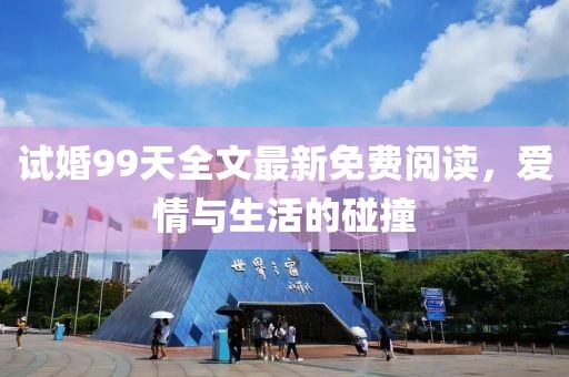 試婚99天全文最新免費(fèi)閱讀，愛情與生活的碰撞