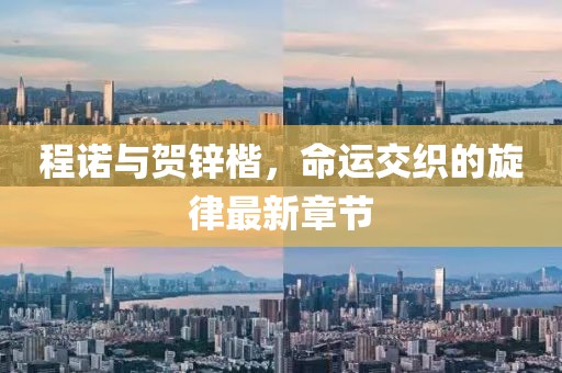 程諾與賀鋅楷，命運(yùn)交織的旋律最新章節(jié)