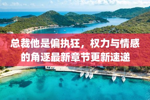 總裁他是偏執(zhí)狂，權力與情感的角逐最新章節(jié)更新速遞