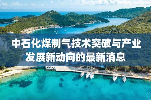 中石化煤制氣技術突破與產(chǎn)業(yè)發(fā)展新動向的最新消息