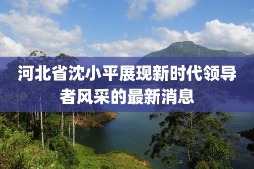 河北省沈小平展現(xiàn)新時(shí)代領(lǐng)導(dǎo)者風(fēng)采的最新消息
