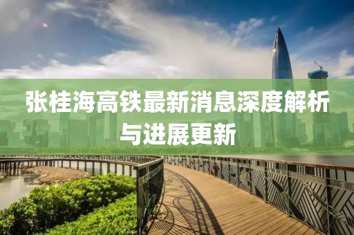 張桂海高鐵最新消息深度解析與進(jìn)展更新