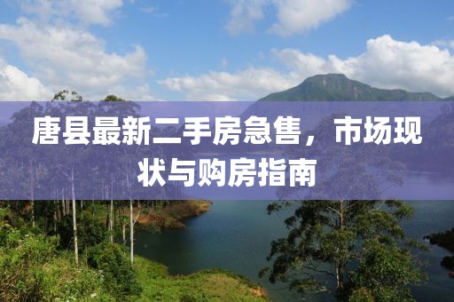 唐縣最新二手房急售，市場現(xiàn)狀與購房指南