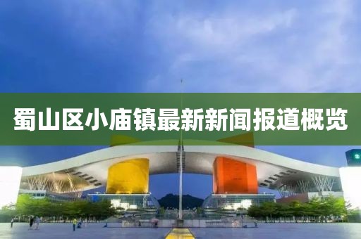 蜀山區(qū)小廟鎮(zhèn)最新新聞報(bào)道概覽