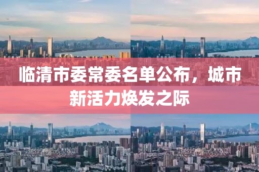 臨清市委常委名單公布，城市新活力煥發(fā)之際