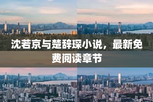 沈若京與楚辭琛小說，最新免費閱讀章節(jié)