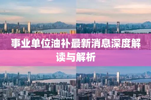 事業(yè)單位油補(bǔ)最新消息深度解讀與解析