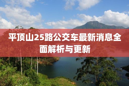 平頂山25路公交車最新消息全面解析與更新