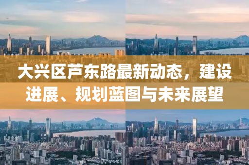 大興區(qū)蘆東路最新動態(tài)，建設(shè)進(jìn)展、規(guī)劃藍(lán)圖與未來展望