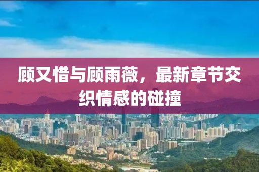 顧又惜與顧雨薇，最新章節(jié)交織情感的碰撞